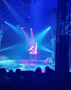 Zirkus Frankello Artisten