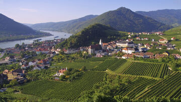 Blick auf Hollenburg.
